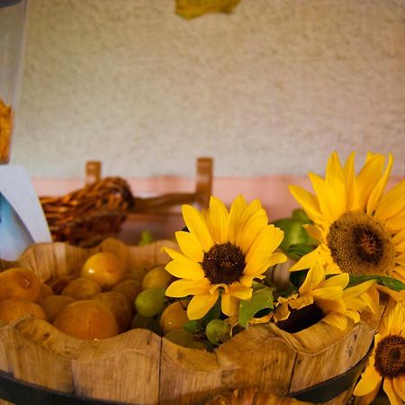 Agriturismo Mare E Monti Аджерола Екстериор снимка
