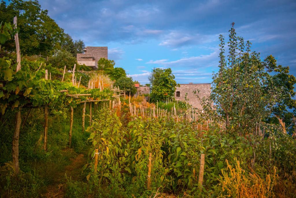 Agriturismo Mare E Monti Аджерола Екстериор снимка