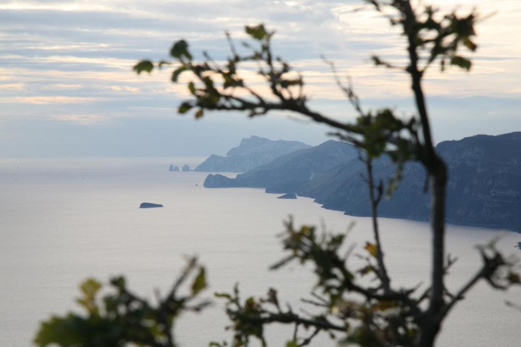 Agriturismo Mare E Monti Аджерола Екстериор снимка