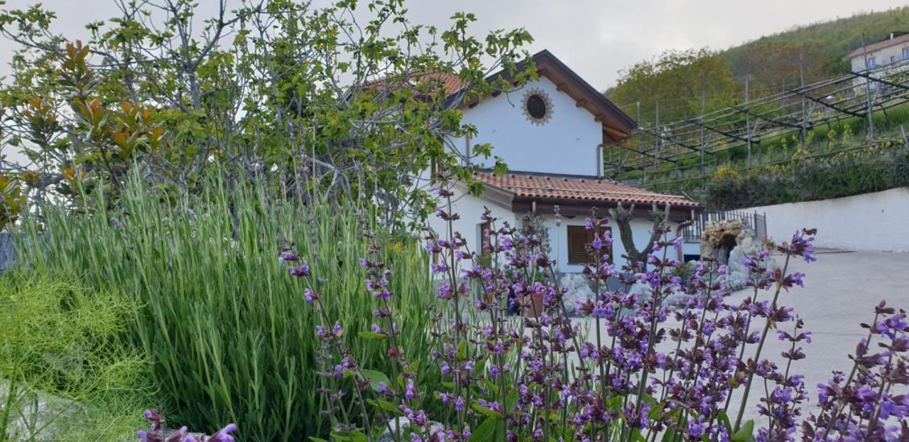 Agriturismo Mare E Monti Аджерола Екстериор снимка
