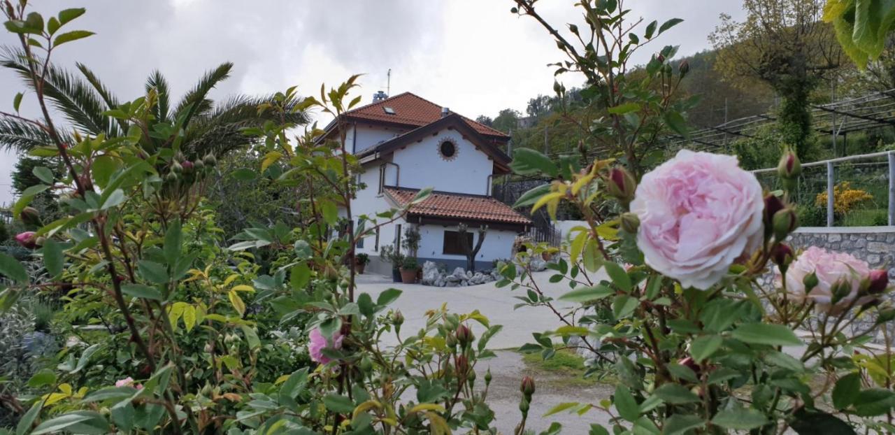 Agriturismo Mare E Monti Аджерола Екстериор снимка