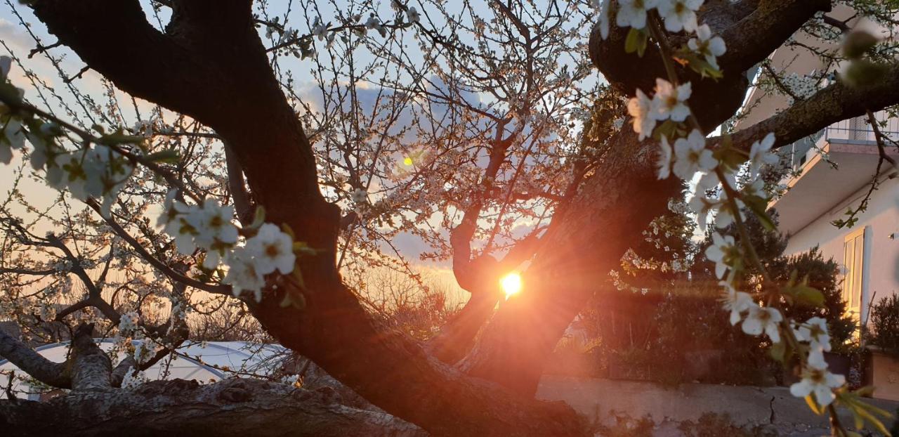 Agriturismo Mare E Monti Аджерола Екстериор снимка